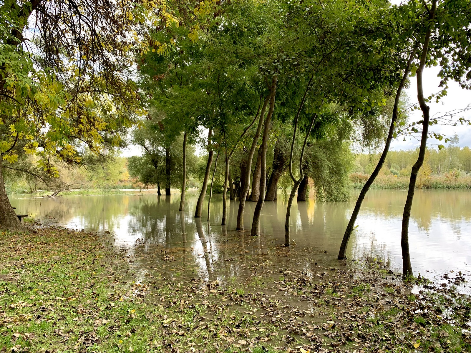 Őszi Szigetköz