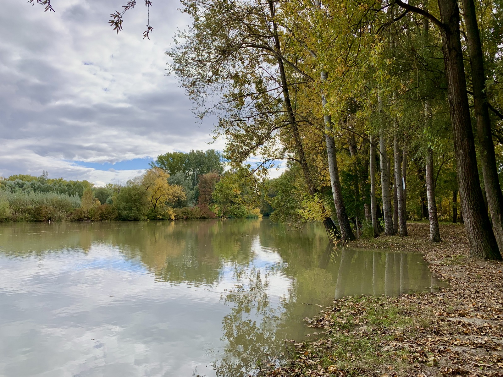 Őszi Szigetköz