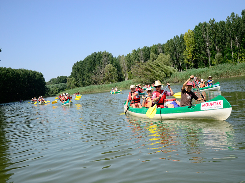 kenutúra a Szigetközben szakvezetővel