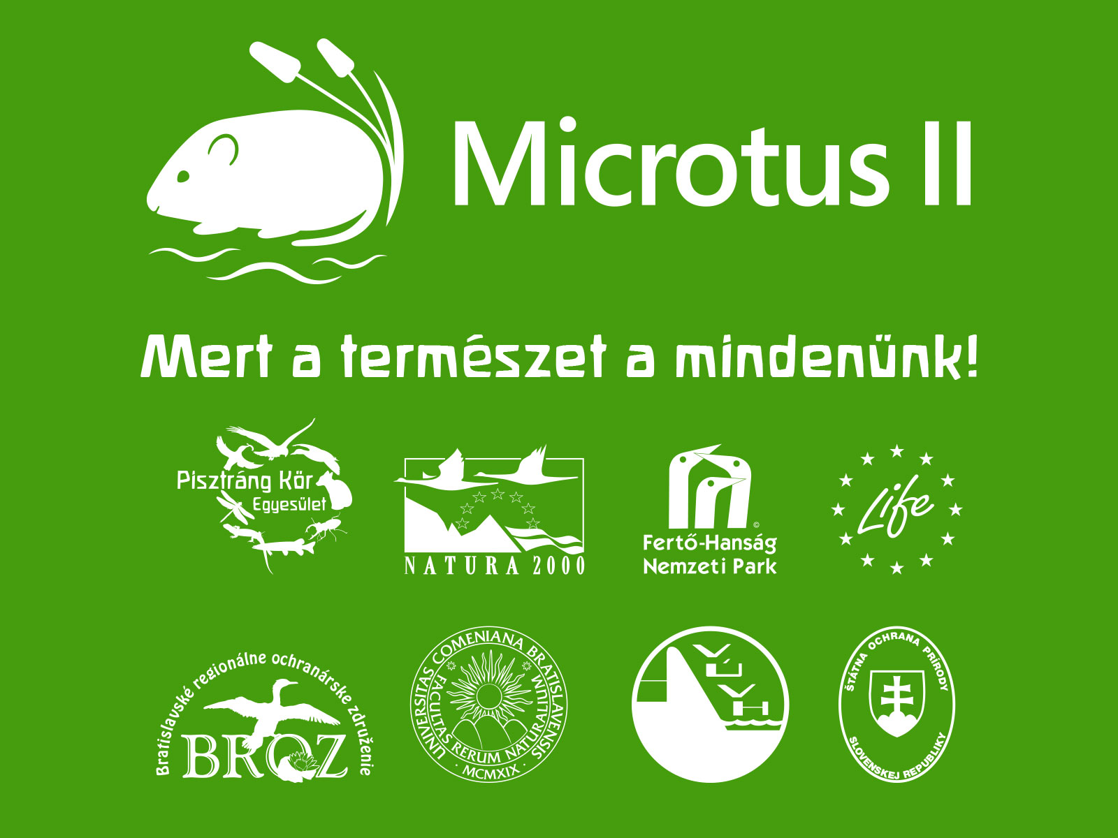 Microtus Minibus- guruló tanterem